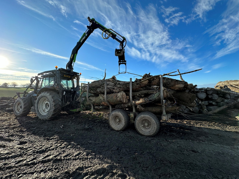 Offloading ash firewood for next winters logs north devon